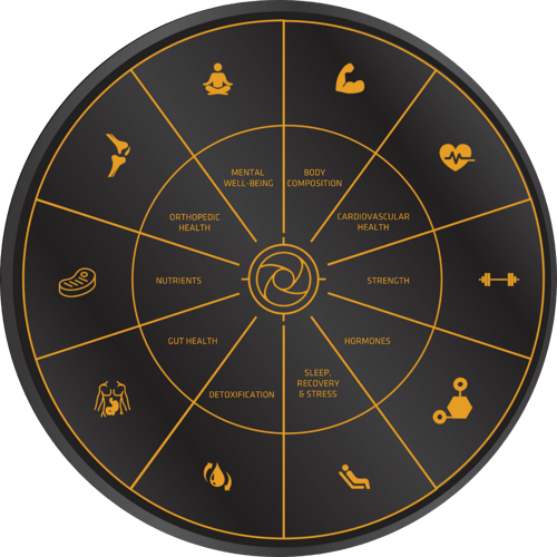 Wheel of Health