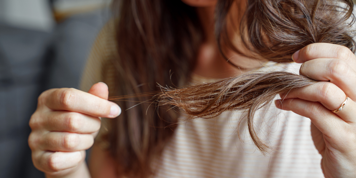 The Link Between Eggs and Hair Loss: Separating Fact from Fiction