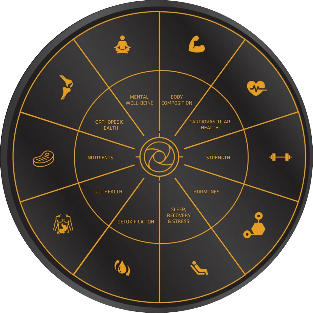 Stark Wheel of Health — 10 dimensions of optimal health